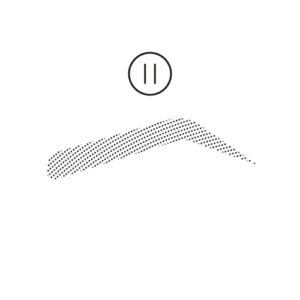 Powder Brows Masterclass